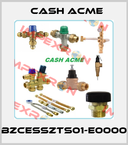 BZCESSZTS01-E0000 Cash Acme