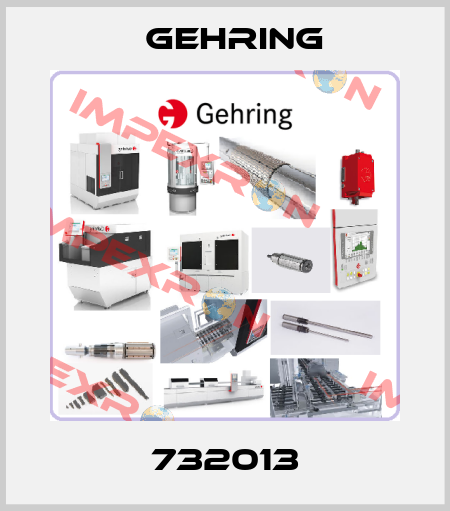 732013 Gehring