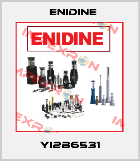 YI2B6531 Enidine