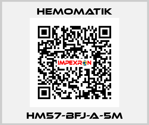 HM57-BFJ-A-5M Hemomatik