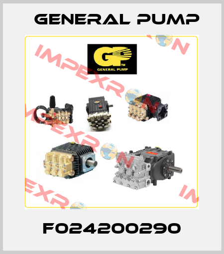 F024200290 General Pump