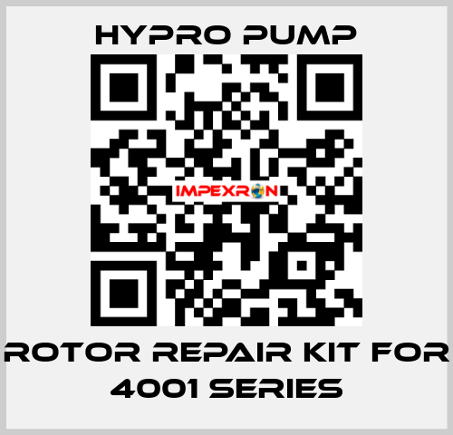 Rotor Repair Kit for 4001 Series Hypro Pump