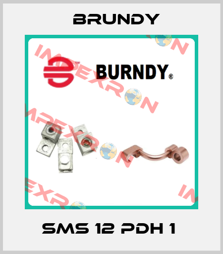 SMS 12 PDH 1  Brundy