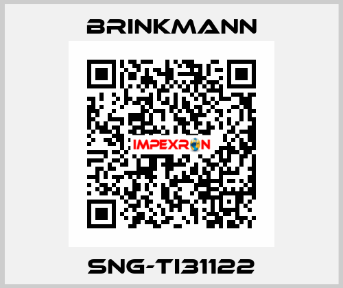 SNG-TI31122 Brinkmann