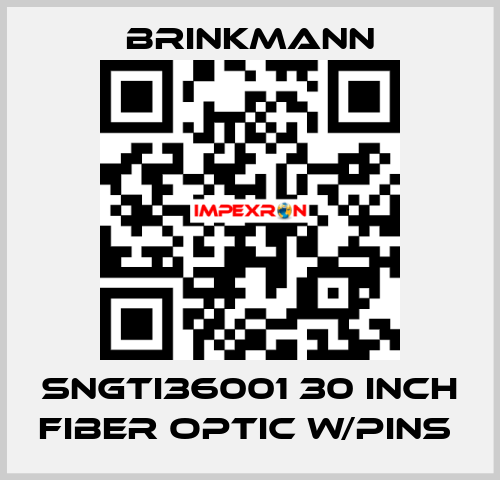 SNGTI36001 30 INCH FIBER OPTIC W/PINS  Brinkmann