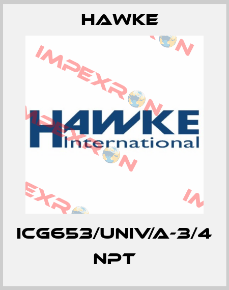 ICG653/UNIV/A-3/4 NPT Hawke