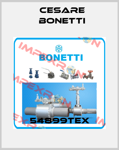 54899TEX Cesare Bonetti