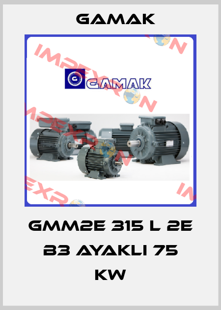 GMM2E 315 L 2e B3 ayaklı 75 KW Gamak