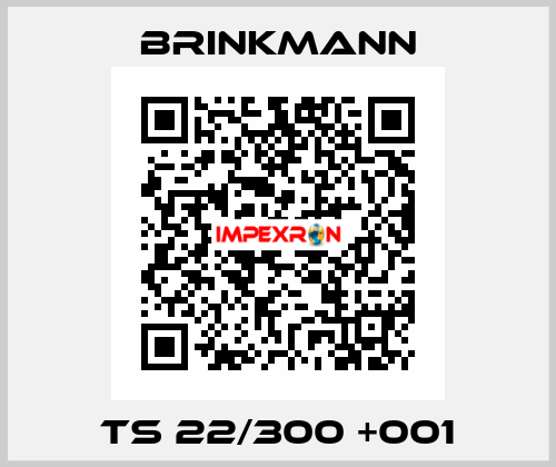 TS 22/300 +001 Brinkmann