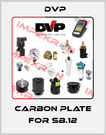 Carbon plate for SB.12 DVP