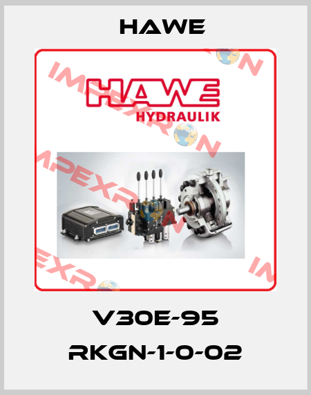V30E-95 RKGN-1-0-02 Hawe