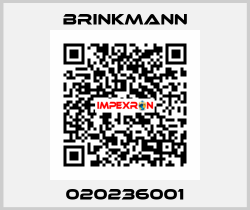 020236001 Brinkmann