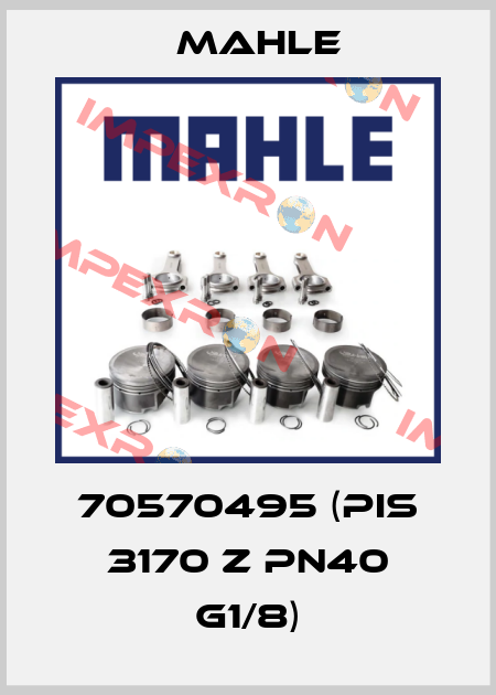 70570495 (PIS 3170 Z PN40 G1/8) MAHLE