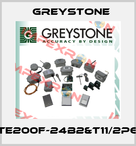 TE200F-24B2&T11/2P6 Greystone
