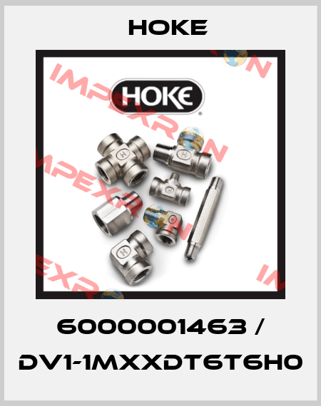 6000001463 / DV1-1MXXDT6T6H0 Hoke