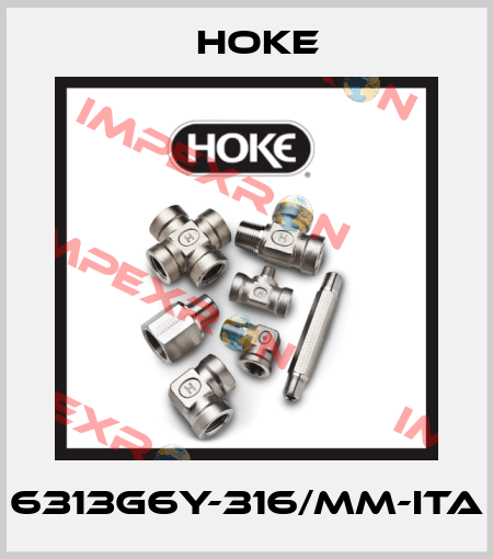6313G6Y-316/MM-ITA Hoke