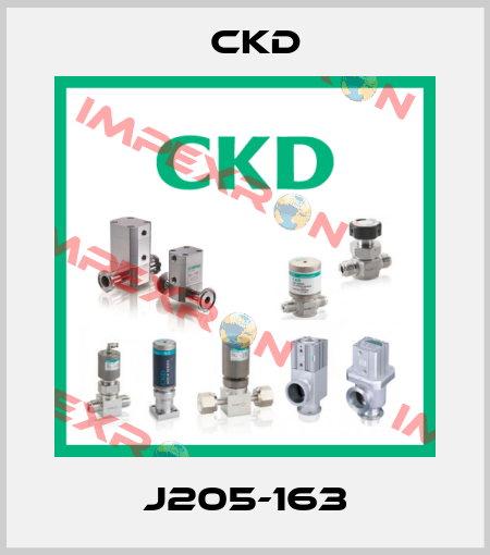 J205-163 Ckd