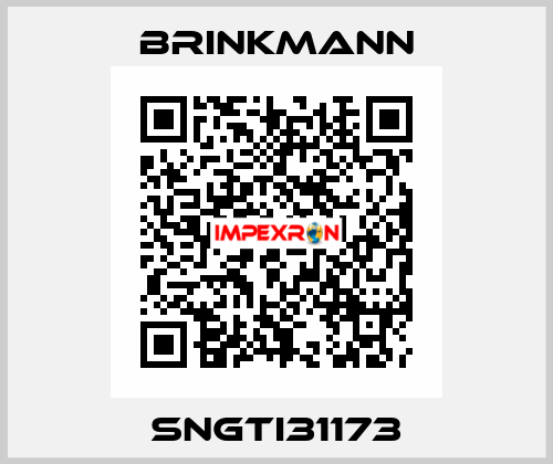 SNGTI31173 Brinkmann