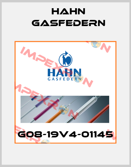 G08-19V4-01145 Hahn Gasfedern