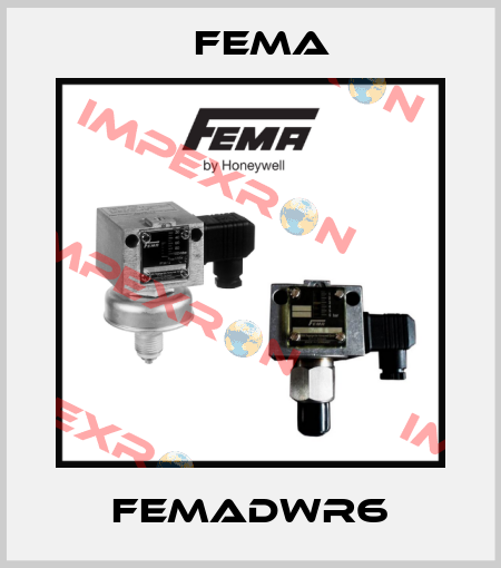 FEMADWR6 FEMA