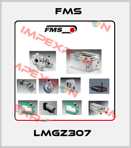 LMGZ307   Fms