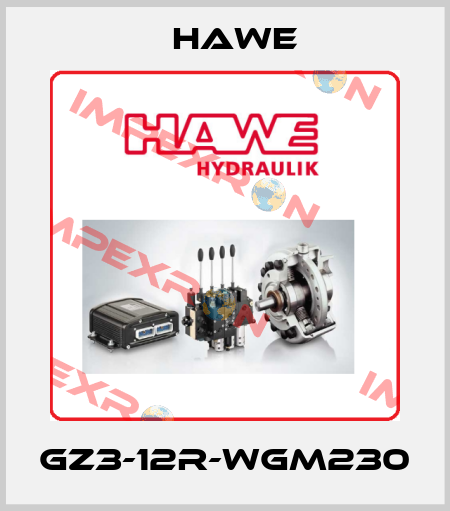 GZ3-12R-WGM230 Hawe