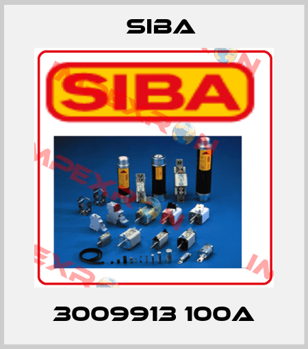 3009913 100A Siba