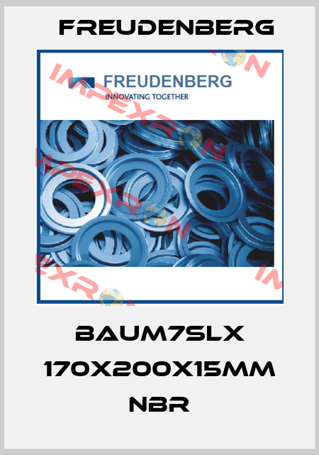 BAUM7SLX 170x200x15mm NBR Freudenberg
