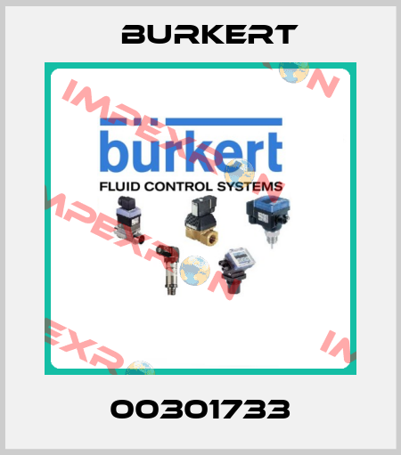 00301733 Burkert