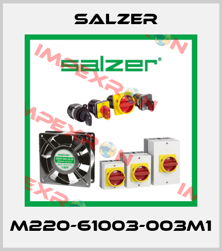 M220-61003-003M1 Salzer
