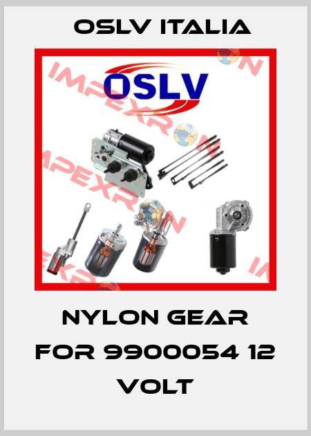 nylon gear for 9900054 12 volt OSLV Italia