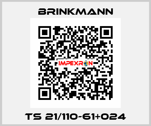 TS 21/110-61+024 Brinkmann