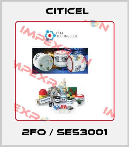 2FO / SE53001 Citicel