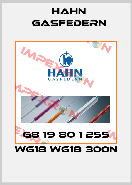 G8 19 80 1 255 WG18 WG18 300N Hahn Gasfedern