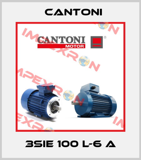 3SIE 100 L-6 A Cantoni