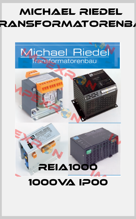 REIA1000 1000VA IP00 Michael Riedel Transformatorenbau