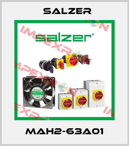 MAH2-63A01 Salzer