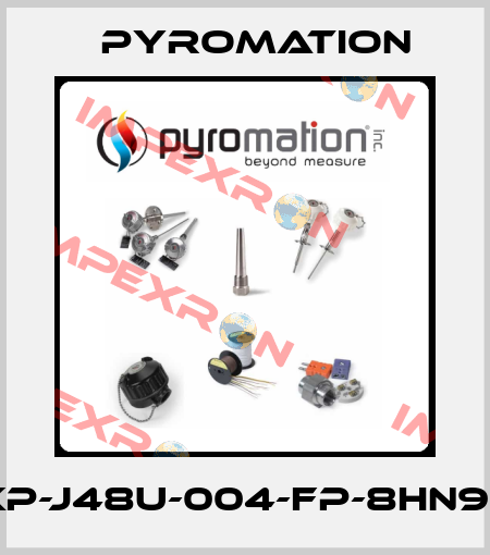 XP-J48U-004-FP-8HN93 Pyromation