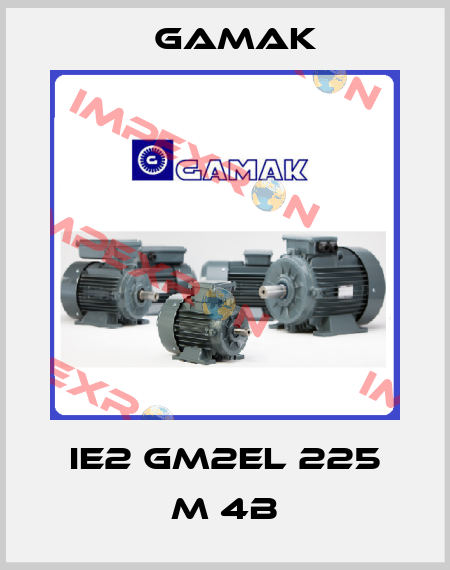 IE2 GM2EL 225 M 4B Gamak