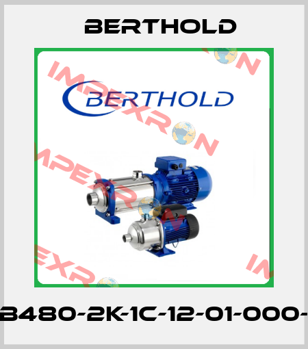 LB480-2K-1C-12-01-000-L Berthold