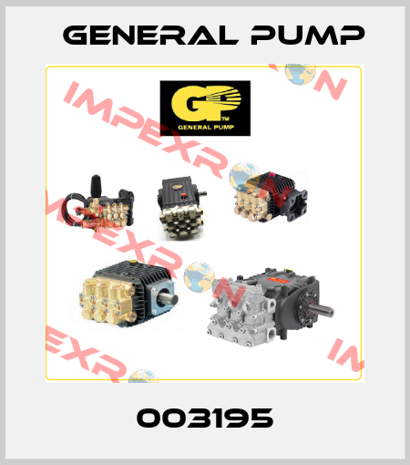 003195 General Pump