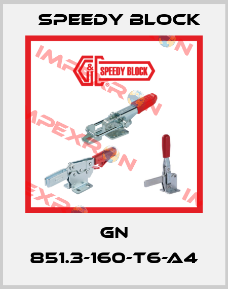 GN 851.3-160-T6-A4 Speedy Block