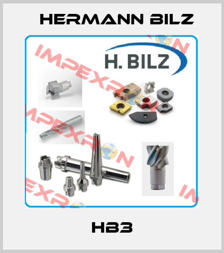 HB3 Hermann Bilz