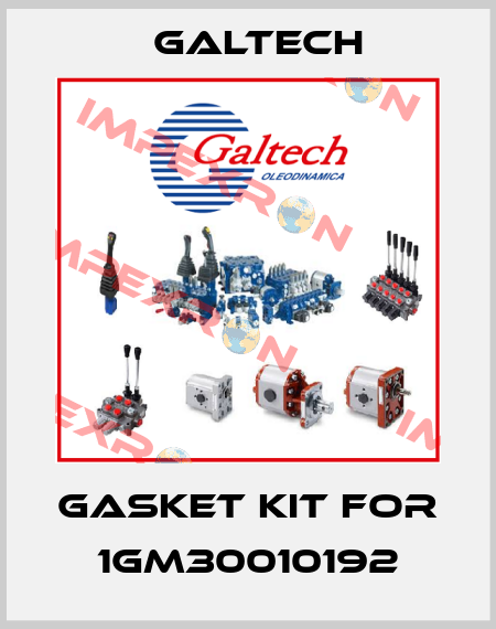 Gasket kit for 1GM30010192 Galtech