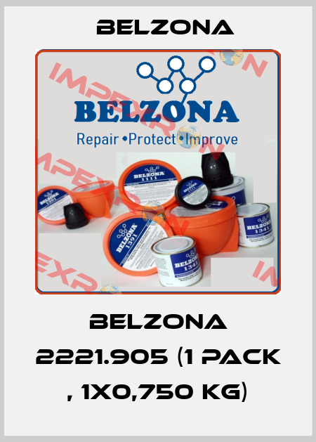 Belzona 2221.905 (1 pack , 1x0,750 kg) Belzona