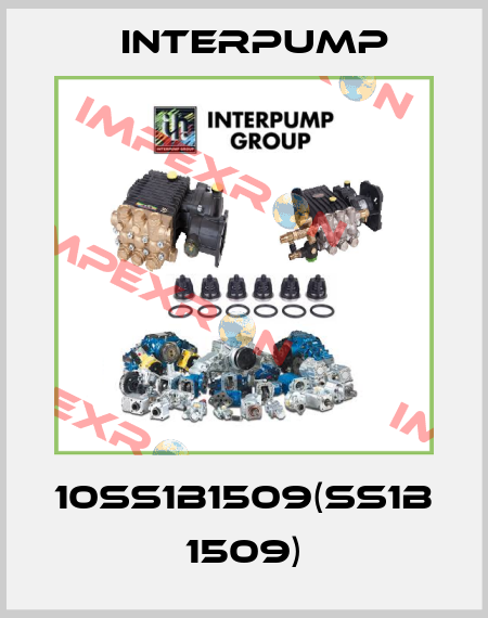10SS1B1509(SS1B 1509) Interpump