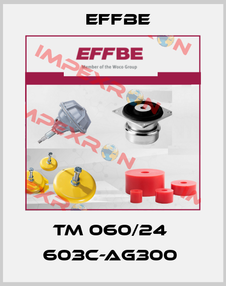 TM 060/24  603C-AG300  Effbe