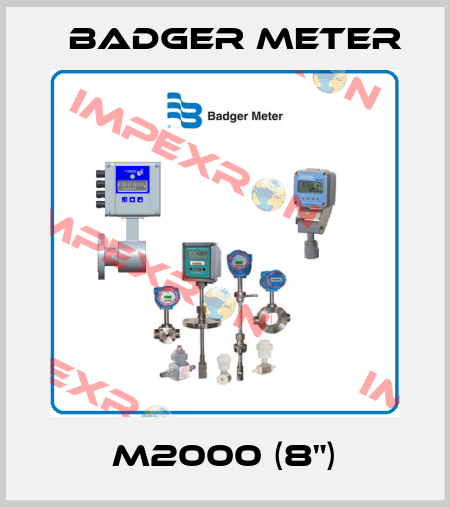 M2000 (8") Badger Meter