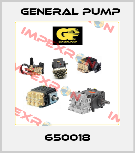 650018 General Pump