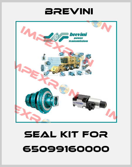 seal kit for 65099160000 Brevini